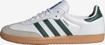 Baskets basses 'Samba' ADIDAS ORIGINALS en blanc : devant