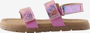 Sandales Next en rose : devant