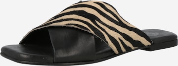 Apple of EdenNatikače s potpeticom 'Savannah' - crna boja: prednji dio