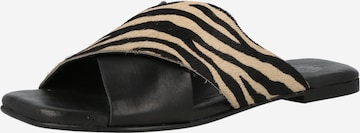 Apple of Eden Mules 'Savannah' in Black: front