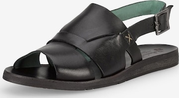 FELMINI Sandalen met riem in Zwart: voorkant