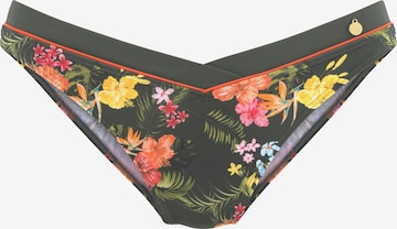 Bas de bikini 'Tahiti' LASCANA en mélange de couleurs : devant