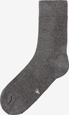 H.I.S Socks in Grey