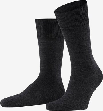 FALKE Socks in Black: front