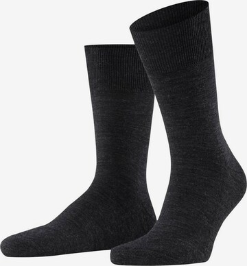 FALKE Socken in Schwarz: predná strana