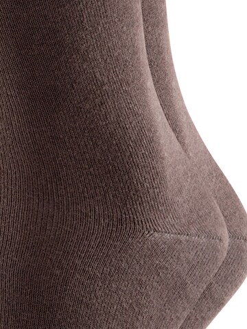 FALKE Socks 'Swing 2-Pack' in Brown