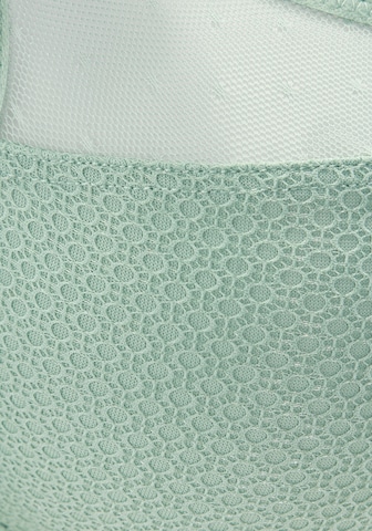 NUANCE Minimiser Bra in Green