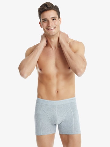Blackspade Board shorts in Grey: front