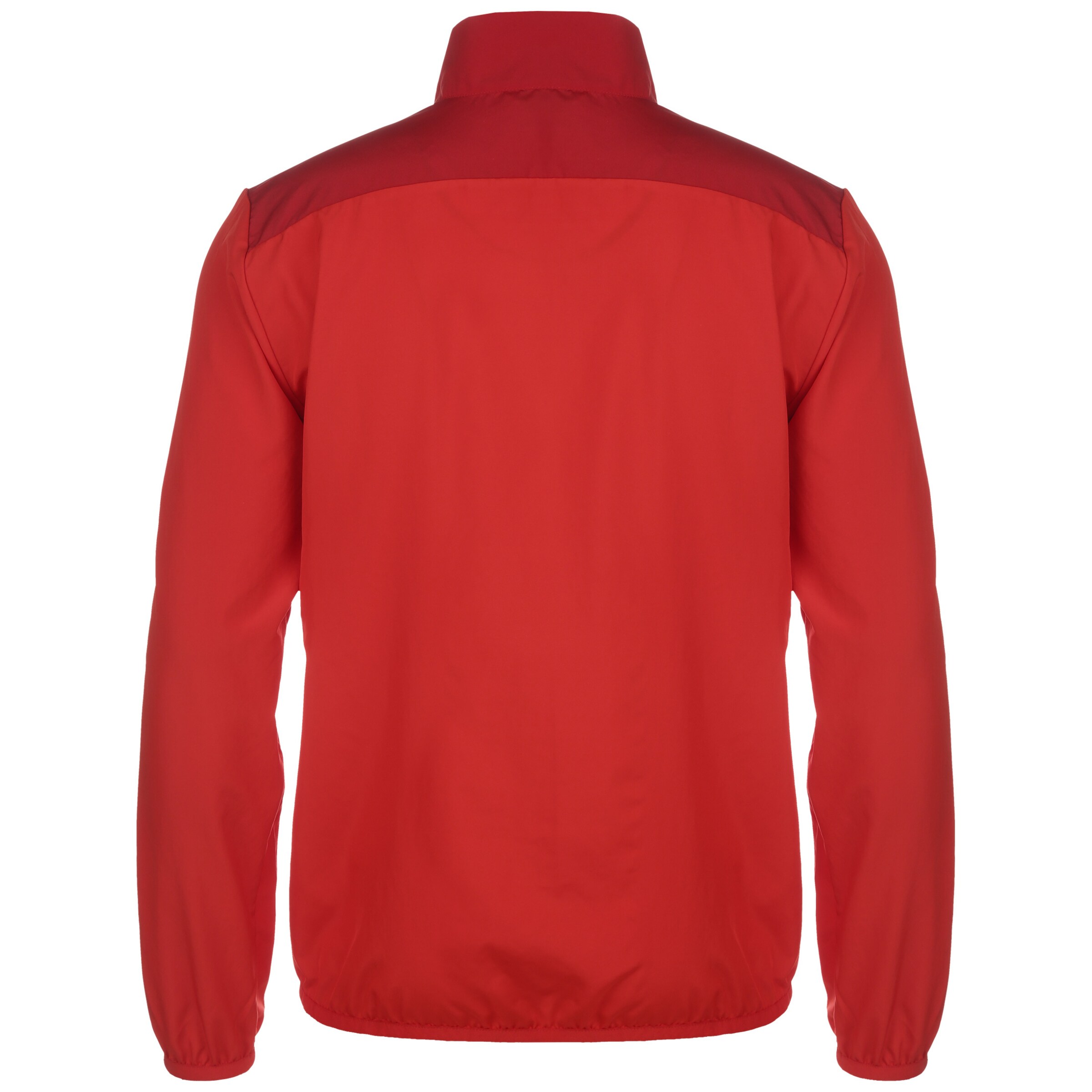 PUMA Athletic Jacket 'TeamGOAL 23' in Red