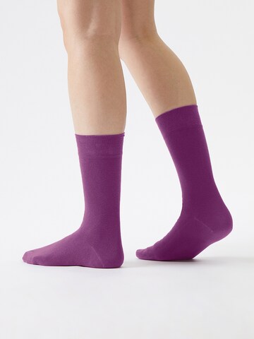Von Jungfeld Socks 'Colour' in Pink