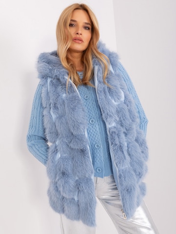 Madnezz House Weste in Blau: Vorderseite