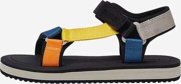 Pull&Bear Sandalen in Gemengde kleuren