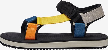 Pull&Bear Sandal in Mixed colours