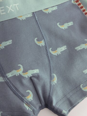 Sous-vêtements Next en bleu