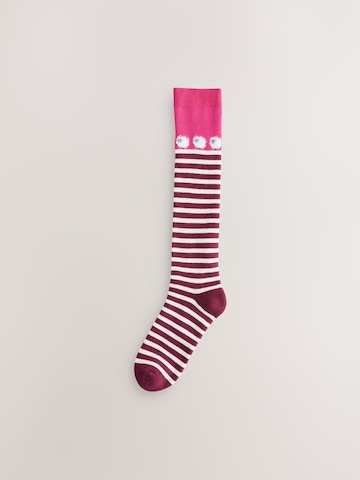 Next - Calcetines hasta la rodilla en lila