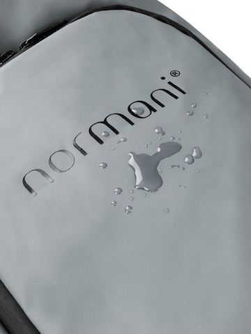 Borsa sportiva 'Nordpass' di normani in grigio