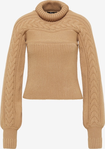 Pull-over faina en marron : devant