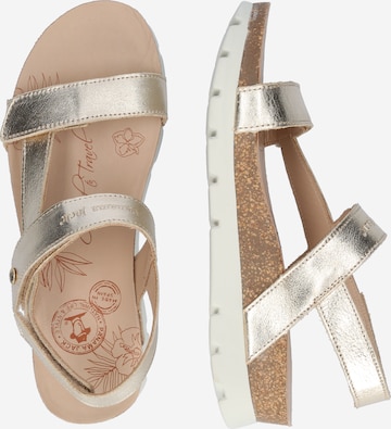 PANAMA JACK Sandal in Gold