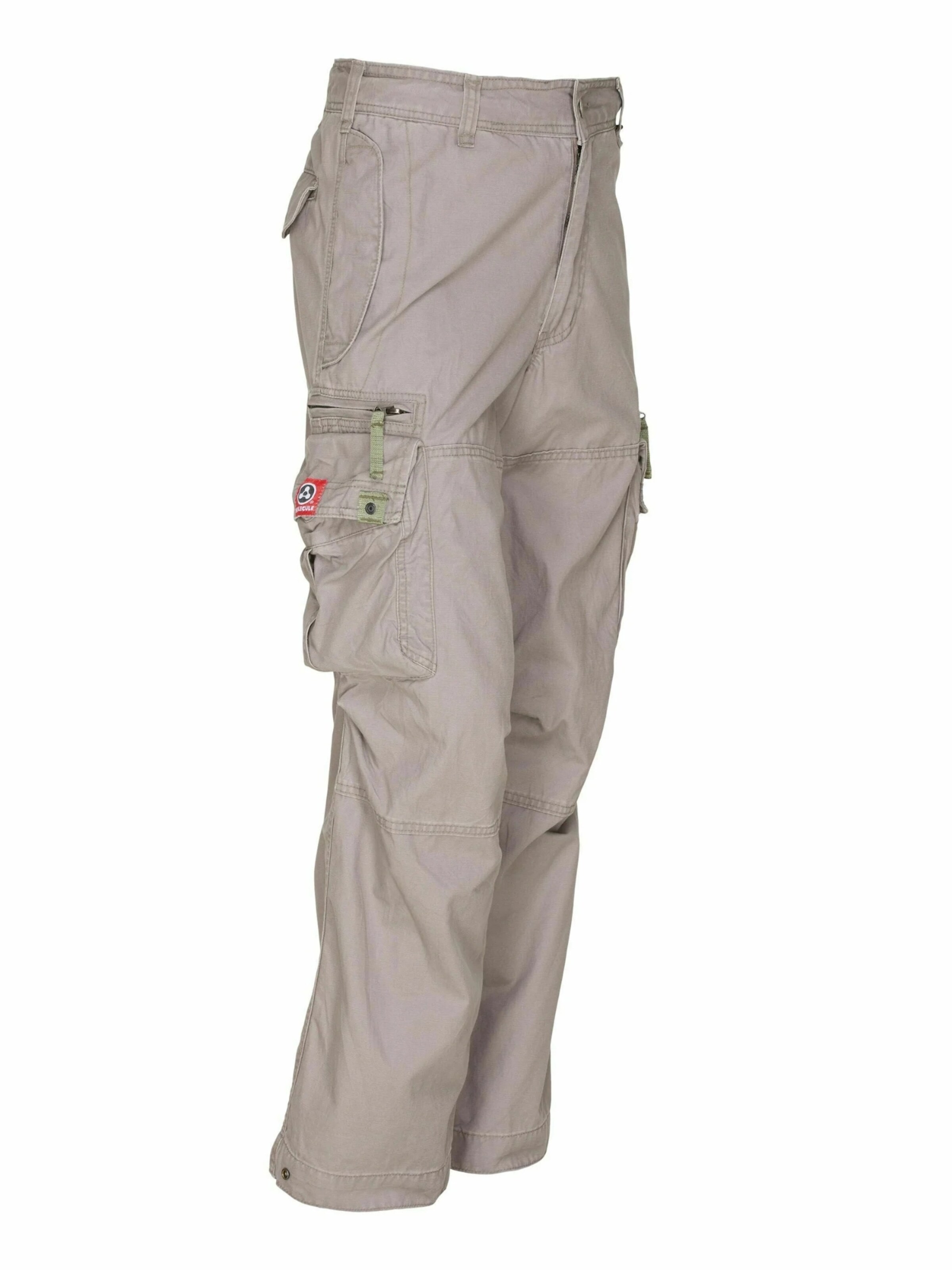 Regular Pantalon cargo 'BAGGY' Molecule en gris