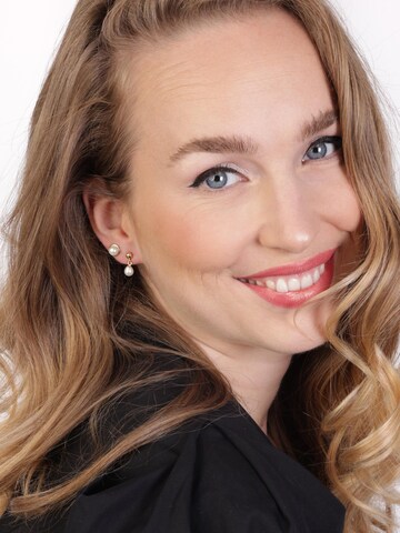 Lucardi Earrings 'Klassisch' in Gold: front