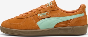 Baskets basses 'Palermo' PUMA en orange : devant