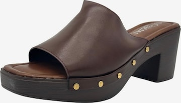 Nowaland Mules in Brown: front