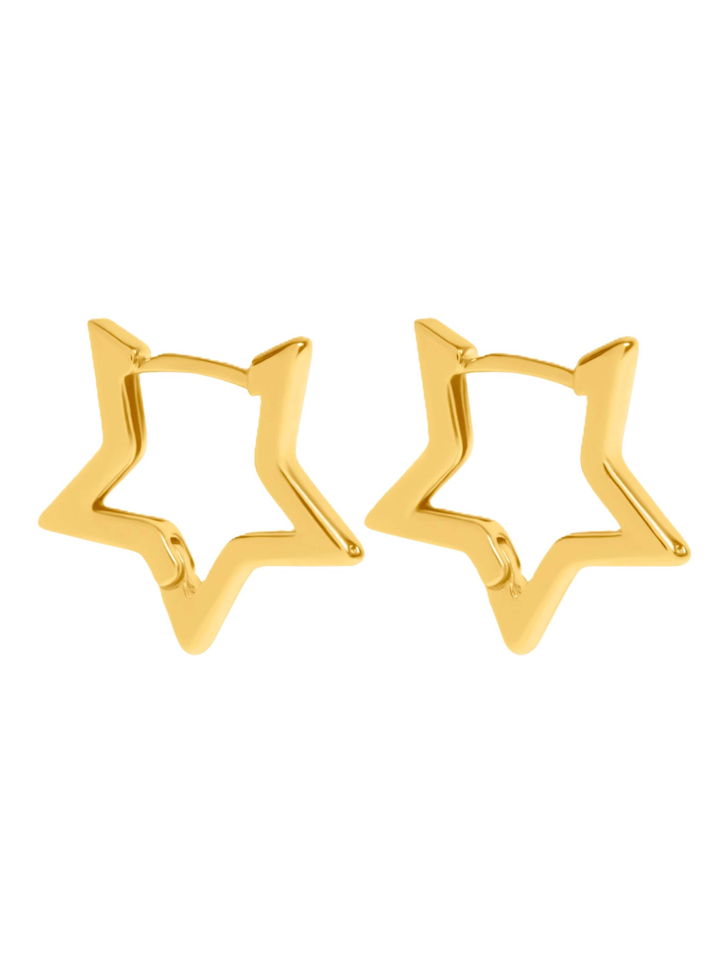 timi of sweden Earrings 'Winona' in Gold: front