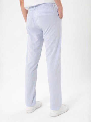regular Pantaloni di By Diess Collection in blu