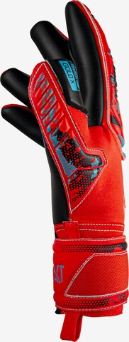 REUSCH Athletic Gloves 'Attrakt Gold X' in Orange