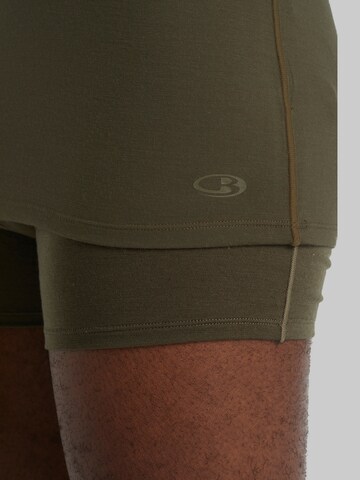 T-Shirt fonctionnel 'Anatomica' ICEBREAKER en vert