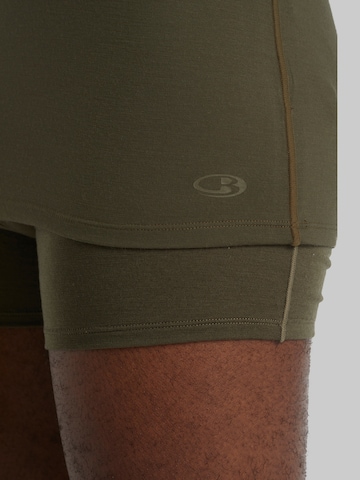 Base Layer 'Anatomica' ICEBREAKER en vert