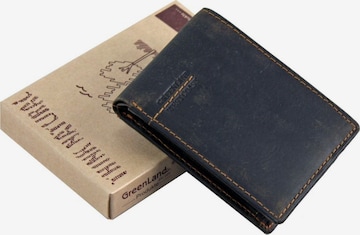 Greenland Nature Wallet in Beige: front