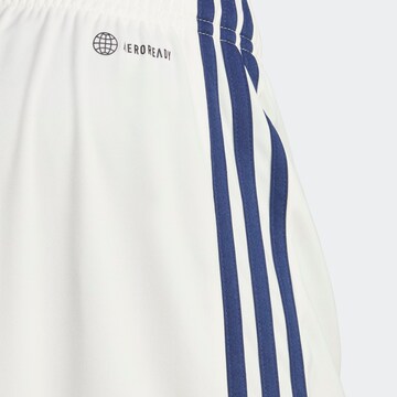 balta ADIDAS PERFORMANCE Standartinis Sportinės kelnės 'Italy 23 Away'