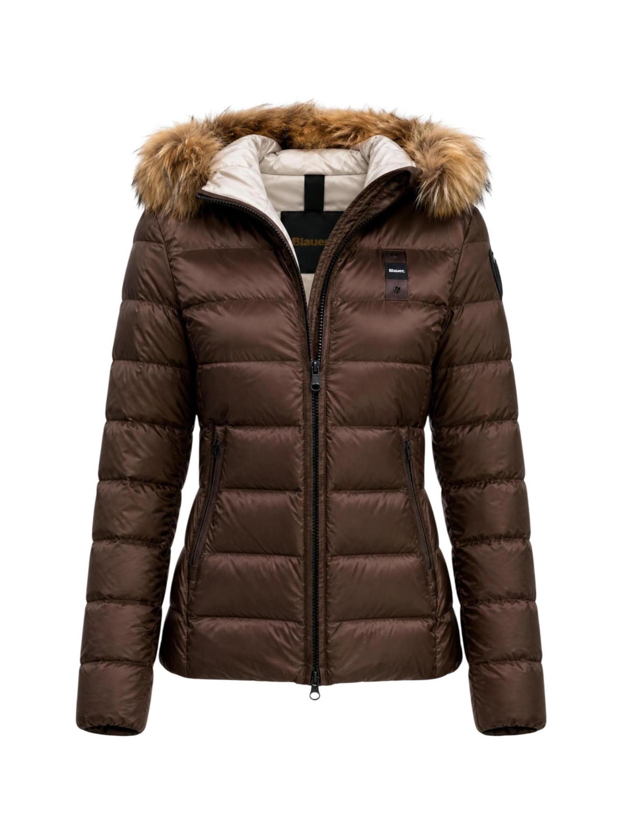 Veste d’hiver 'ARCADIA 26WBLDC03038' Blauer. en marron : devant