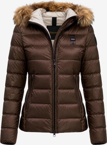 Veste d’hiver 'ARCADIA 26WBLDC03038' Blauer. en marron : devant