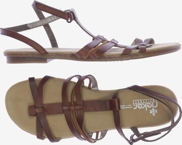 Rieker Sandals & High-Heeled Sandals in 43 in Brown: front