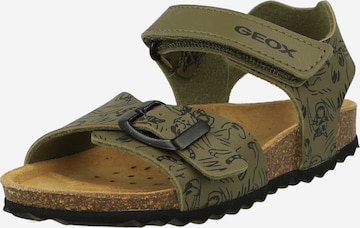 GEOX Sandals & Slippers 'GHITA' in Green: front