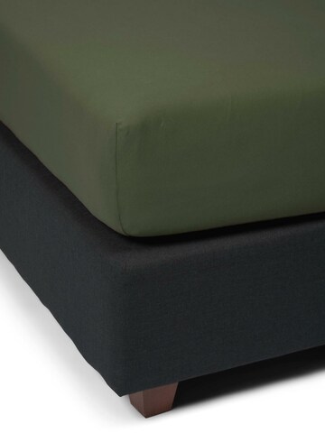 ESSENZA Bed Sheet in Green