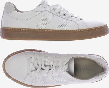 Marc O'Polo Sneakers & Trainers in 41 in White: front