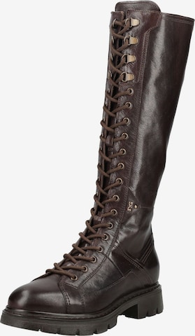 Nero Giardini Schnürstiefel in Braun: Vorderseite