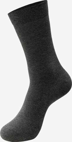 INDICODE JEANS Socken 'Bethwin' in Mischfarben