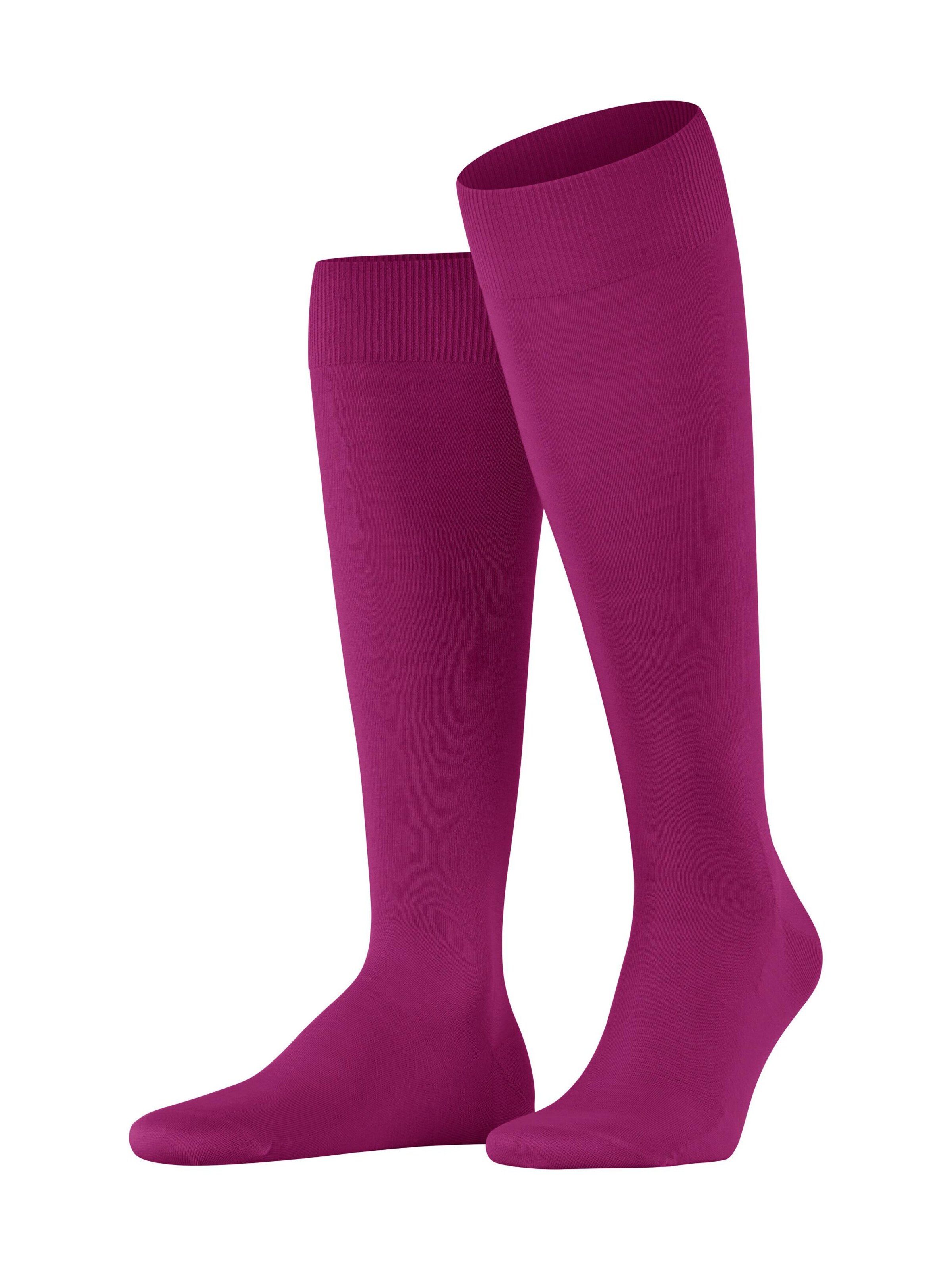 FALKE Knee High Socks 'ClimaWool' in Purple