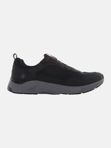 Baskets basses Lumberjack en noir