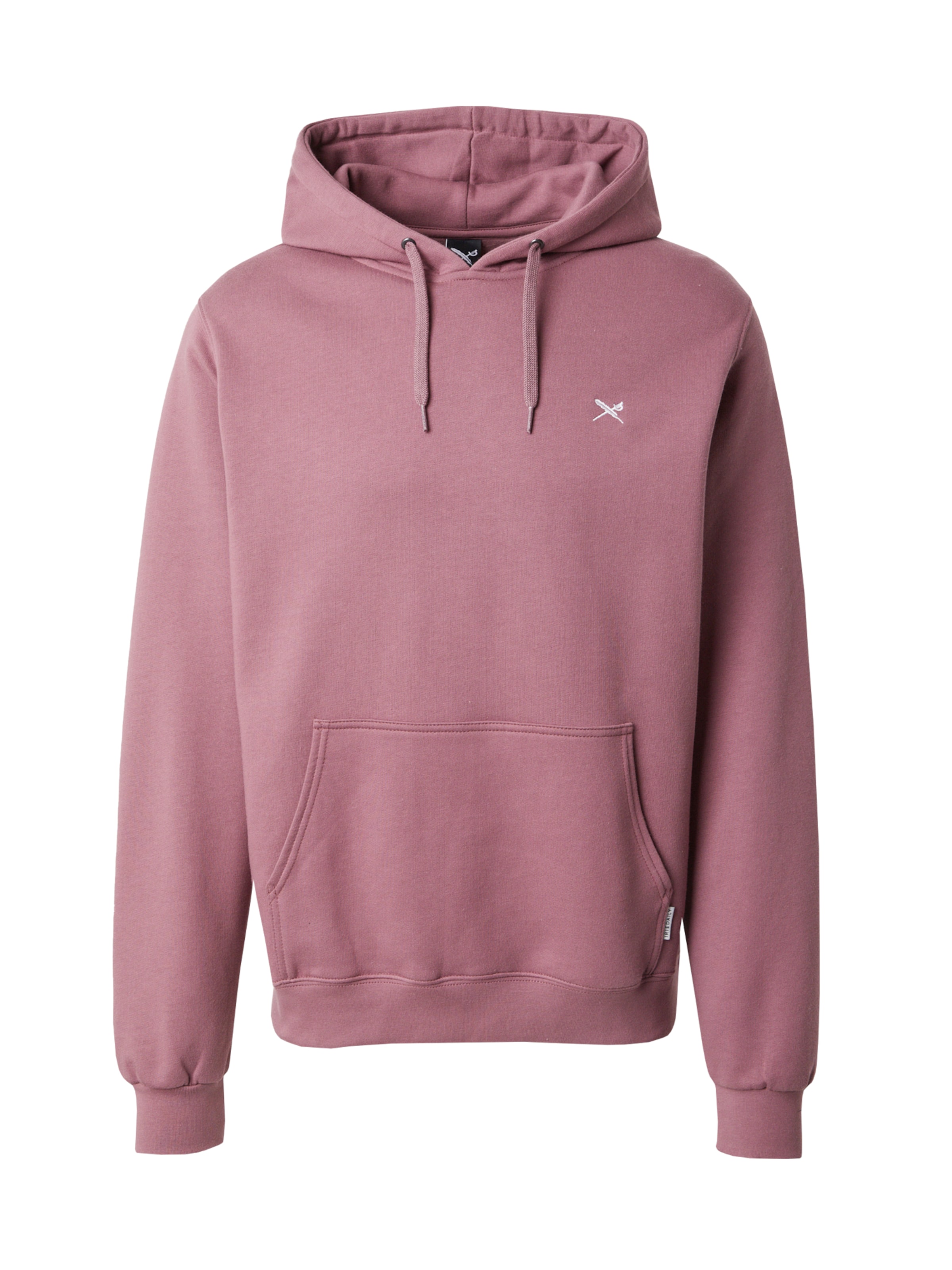 Iriedaily Sweatshirt in Purple: front