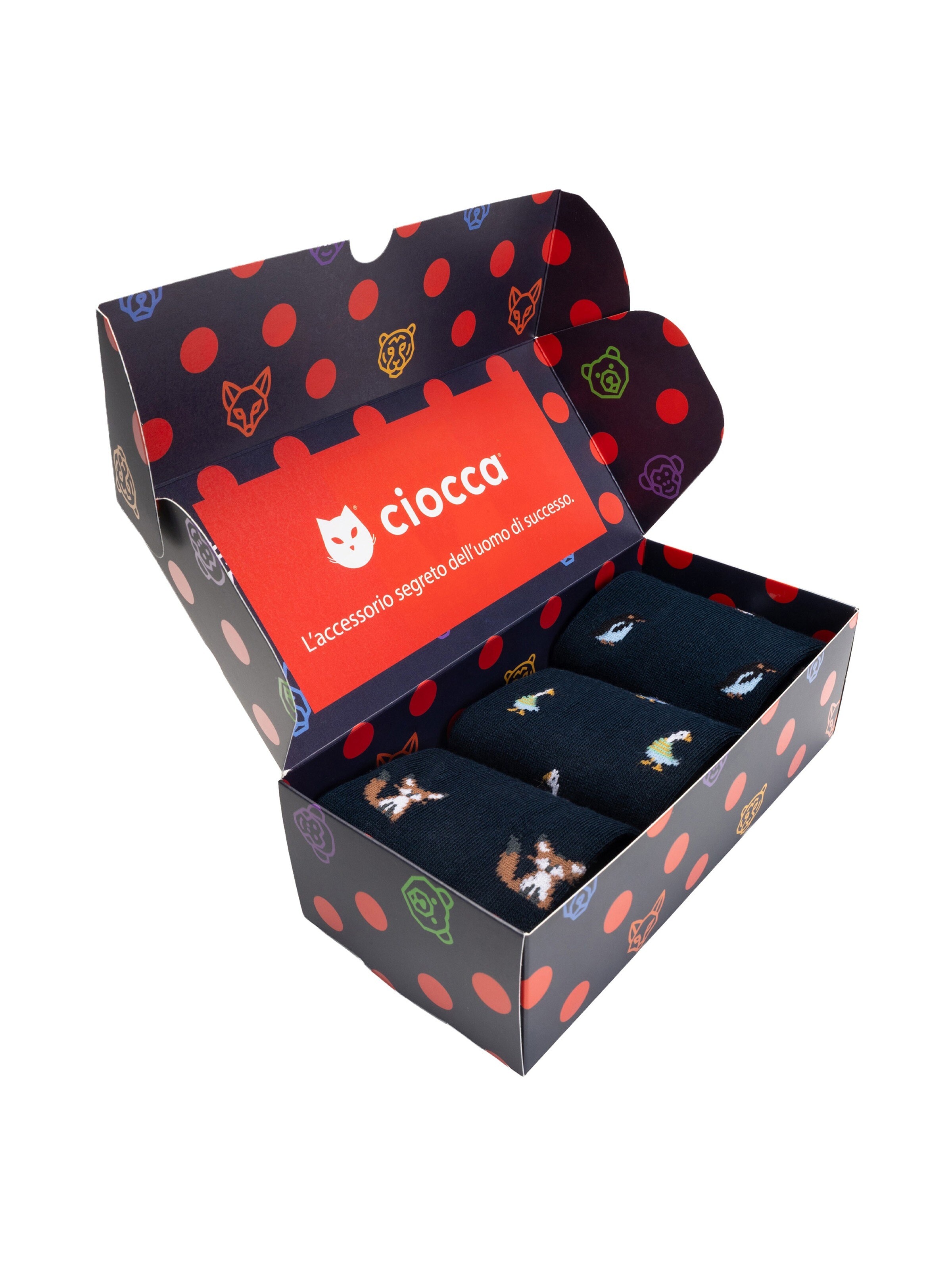 Ciocca Sokken 'Gift Box' in Groen