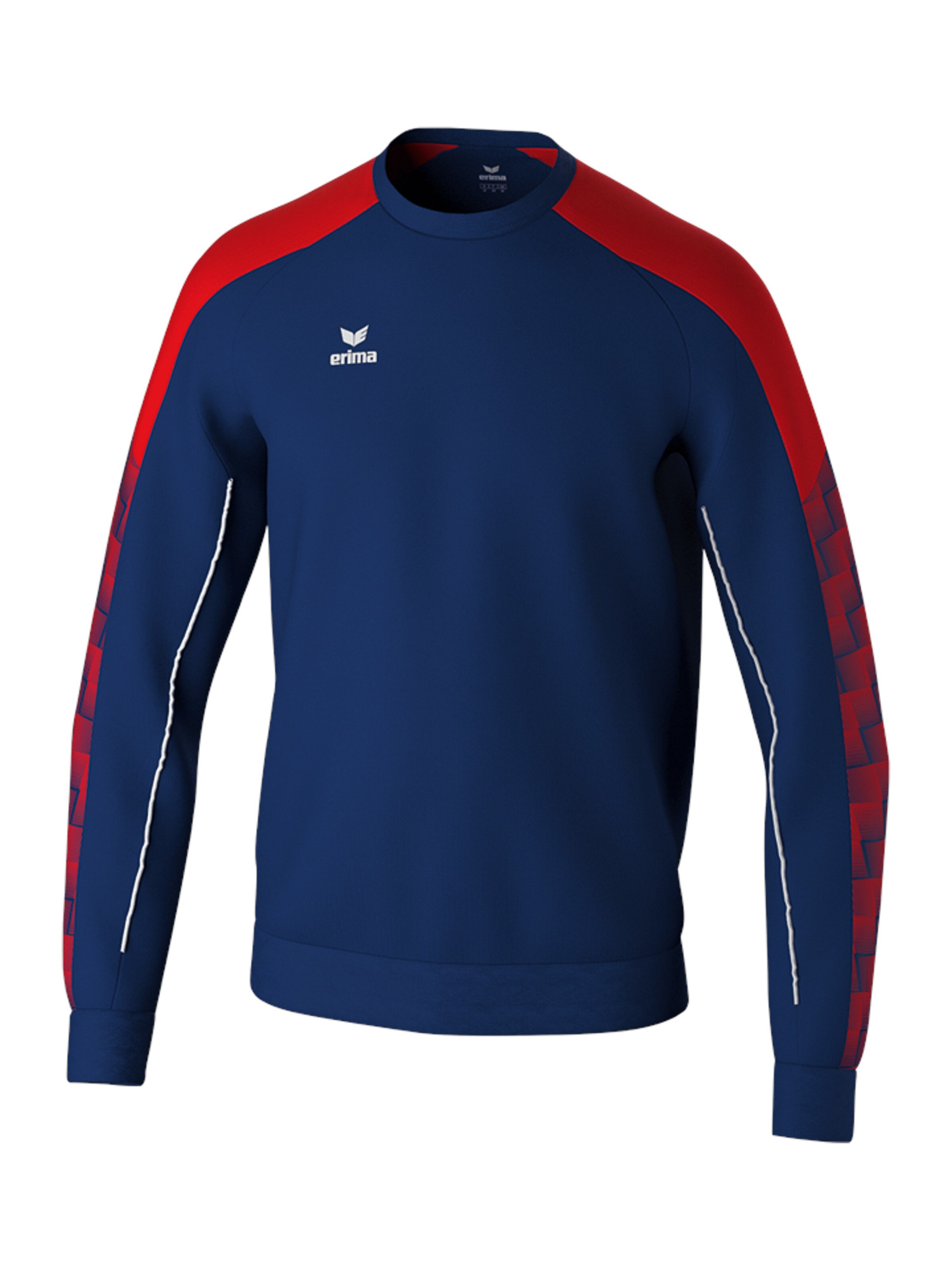 ERIMA Sportsweatshirt 'Evo Star' in Blau: Vorderseite