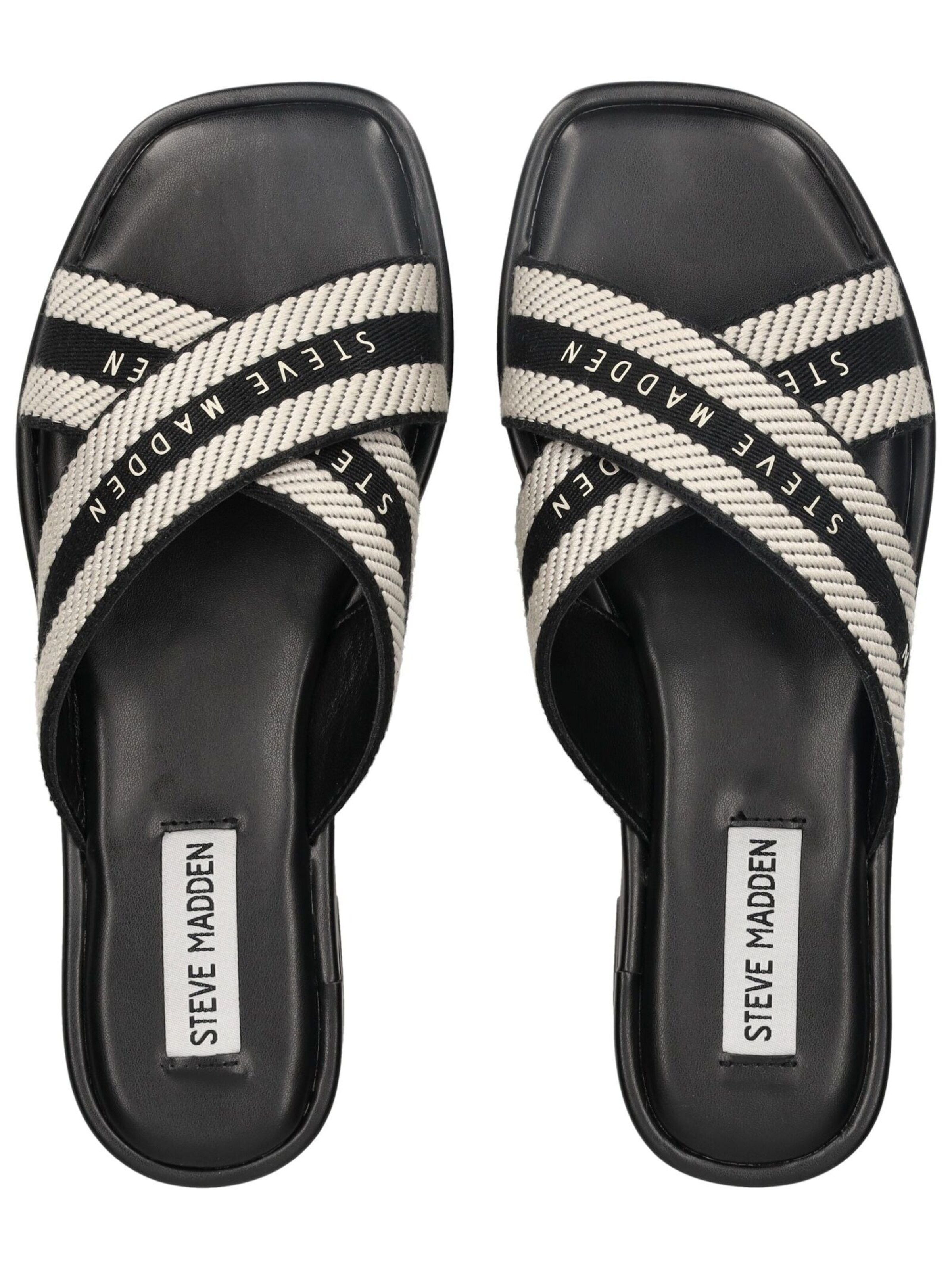 STEVE MADDEN Pantolette in Schwarz