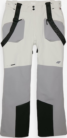 4F - Regular Calças outdoor em cinzento: frente