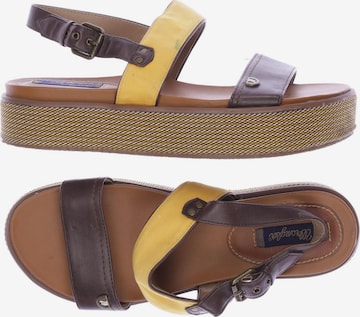 WRANGLER Sandals & High-Heeled Sandals in 41 in Brown: front