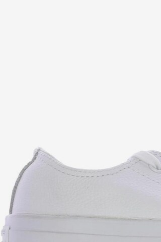 CONVERSE Sneaker 37,5 in Weiß